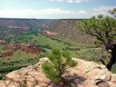 Canadian River Riparian Restoration Workgroup