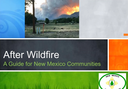 After Wildfire: Planning for the Next Big One (For Download)