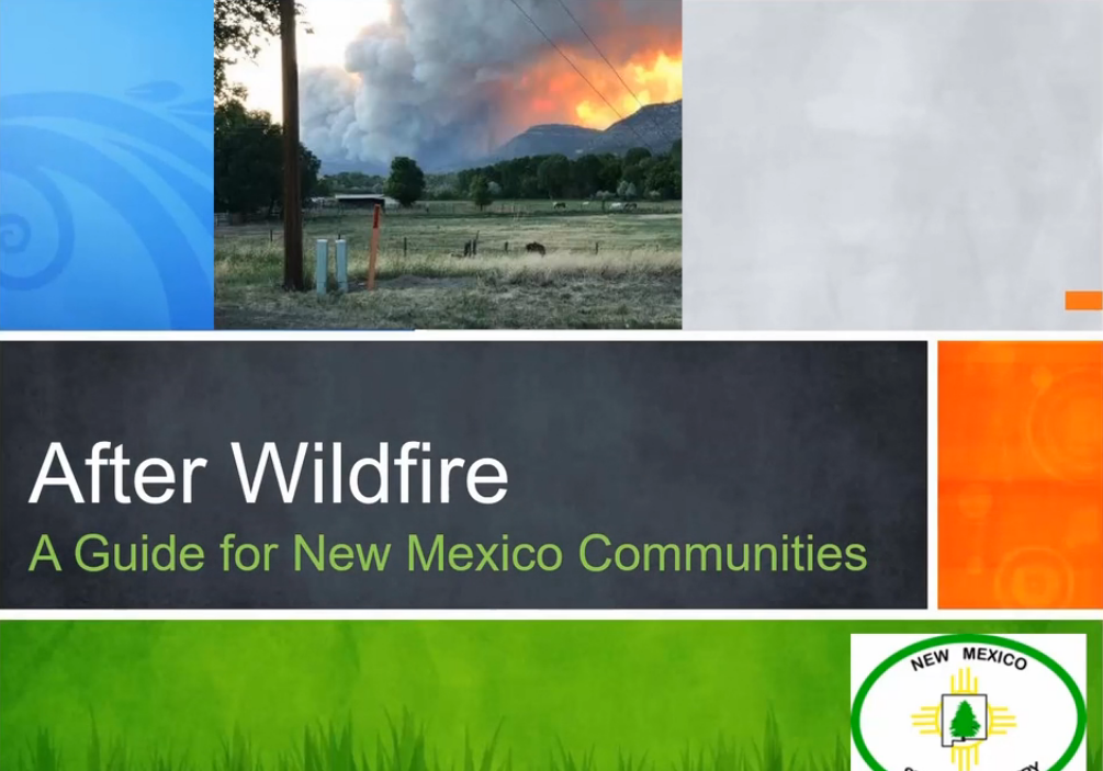 After Wildfire: Planning for the Next Big One (Video)