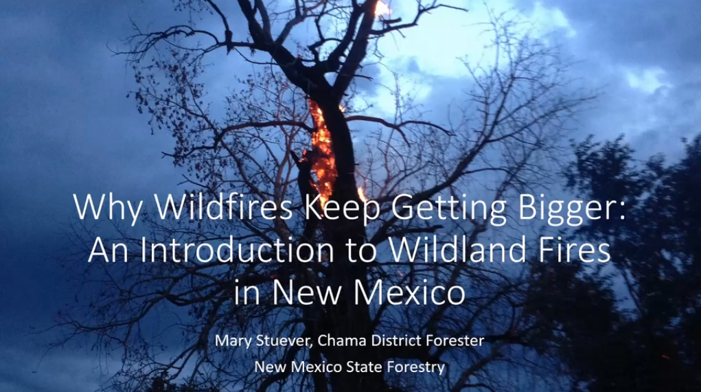 Why Wildfires Keep Getting Bigger (Video)