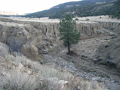 cebolla canyon