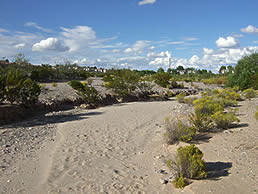 arroyo