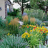 xeriscape